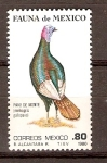Stamps Mexico -  PAVO   DE   MONTE