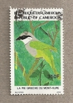 Stamps Africa - Cameroon -  Ave alcaudón del monte Kupe