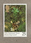 Stamps United Kingdom -  100 años  Conservación Patrimonio Británico
