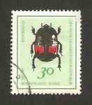 Stamps Germany -  coleóptero hister bipustulatus 