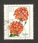 Stamps Germany -  flor pelargonium