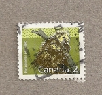 Stamps Canada -  Puercoespín