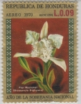 Stamps : America : Honduras :  Año de la Soberanía Nacional - Flor Nacional