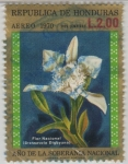 Stamps America - Honduras -  Año de la Soberanía Nacional - Flor Nacional