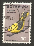 Stamps Africa - Botswana -  Pájaro Golden Oriole