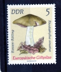 Stamps Germany -  R.D.A.