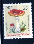 Stamps Germany -  R.D.A.