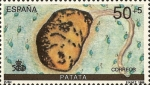 Stamps Spain -  V CENTENARIO DEL DESCUBRIMIENTO DE AMERICA.ENCUENTRO DE DOS MUNDOS