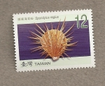 Stamps Thailand -  Spondylus regius