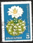 Stamps Bulgaria -  GYMNOCALYCIUM VATTERI