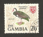 Sellos de Africa - Gambia -  ave, plectropterus gambensis