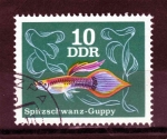 Stamps Germany -  R.D,A.