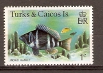 Stamps America - Turks and Caicos Islands -  PEZ  AÑIL