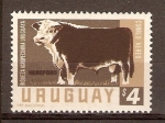 Stamps Uruguay -  TORO  HEREFORD