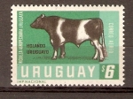 Sellos de America - Uruguay -  TORO  HOLSTEIN