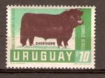 Sellos de America - Uruguay -  TORO  SHORTHORN