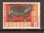 Stamps Uruguay -  TORO  ABERDEEN  ANGUS