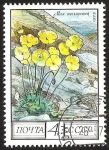 Stamps : Europe : Russia :  FLORES