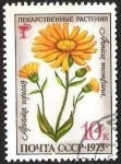 Stamps : Europe : Russia :  FLORES - ARNICA MONTANA