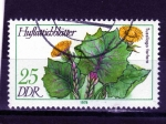 Stamps Germany -  R.D.A.