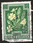 Stamps : Europe : Austria :  