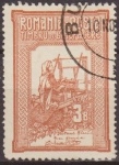 Stamps Romania -  RUMANIA 1906 Scott B5 Sello Reina Tejiendo usado 