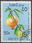 Sellos del Mundo : Asia : Laos : LAOS 1989 Scott 953 Sello Nuevo Frutas Granado Punica Granatum Matasello de favor Preobliterado