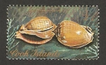 Stamps New Zealand -  islas cook - concha phallicium glaucum