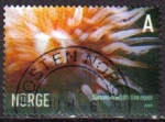 Stamps : Europe : Norway :  NORUEGA 2005 Scott 1441 Sello Vida Marina Anemona Urticina eques usado Norway Norvège Norge 
