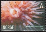 Stamps : Europe : Norway :  NORUEGA 2005 Scott 1441 Sello Vida Marina Anemona Urticina eques usado Norway Norvège Norge 