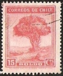 Sellos de America - Chile -  BOLDO