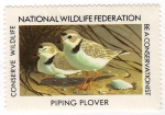 Stamps : America : United_States :  Piping Plover