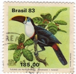 Stamps Brazil -  Tucano de Peito Branco
