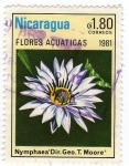 Sellos de America - Nicaragua -  Nymphaea´Dir. Geo. T. Moore´