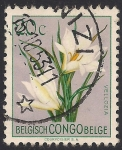 Stamps : Europe : Belgium :  Flores 1952: Vellozia.