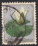Stamps : Europe : Belgium :  Flores 1952: Nymphaea