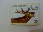 Stamps Romania -  