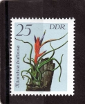 Stamps : Europe : Germany :  R.D.A.