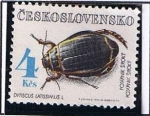 Sellos de Europa - Checoslovaquia -  Dysticus Katissimus