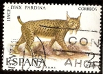 Stamps Spain -  Fauna hispánica - Lince