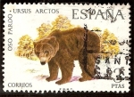 Stamps Spain -  Fauna hispánica - Oso pardo