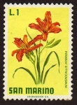Sellos de Europa - San Marino -  Hemerocallis Hibrida