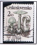 Stamps Czechoslovakia -  Hongos