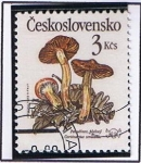 Stamps Czechoslovakia -  Hongos