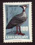 Stamps America - Uruguay -  Chaja Pajaro Nativo