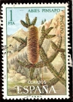 Stamps Spain -  Flora. Pinsapo