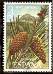 Stamps : Europe : Spain :  Flora. Pino negral