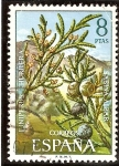 Stamps Spain -  Flora. Sabina albar