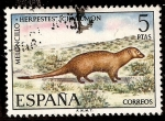 Stamps : Europe : Spain :  Fauna. Meloncillo