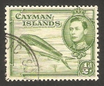 Stamps : Europe : United_Kingdom :  islas caiman - george VI, coryphene